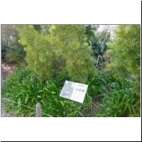 2022-04-27 Promenade du Paillon 31.jpg